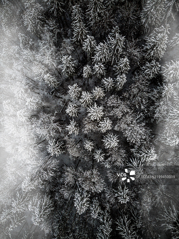 德国巴伐利亚被雪覆盖的树木全景拍摄图片素材