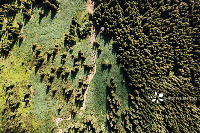 乌克兰植物的全景拍摄图片素材