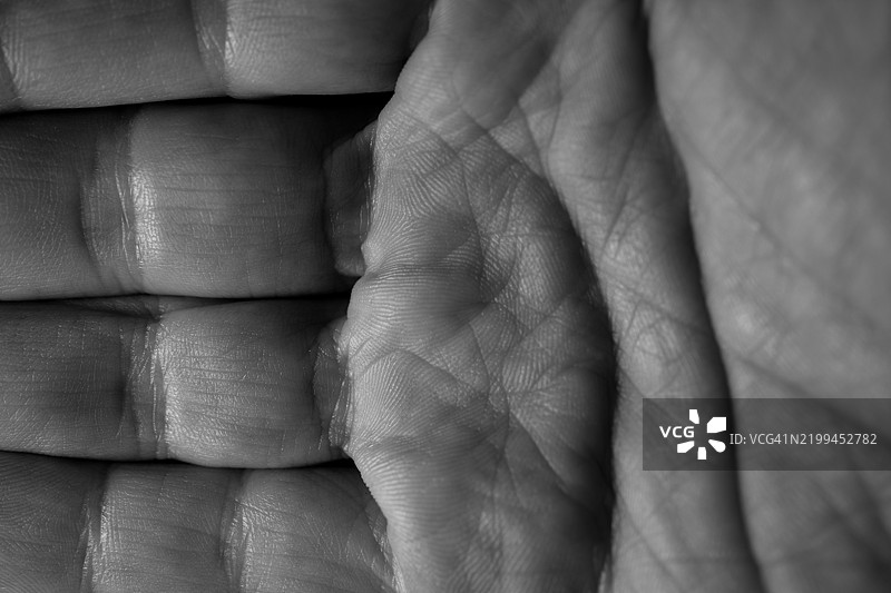 手掌部分展开图片素材