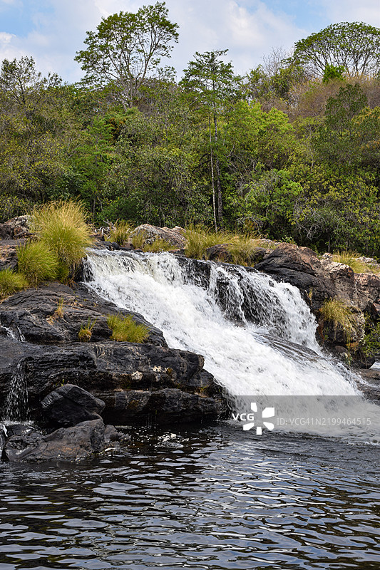 森林中河流的美丽景色图片素材