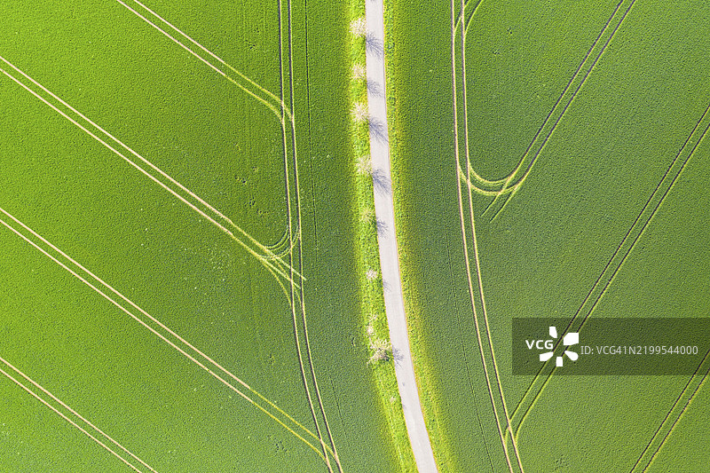 田野中小路和拖拉机车辙的图案，鸟瞰视角如同叶子结构，德国萨克森州罗赫利茨，欧洲图片素材