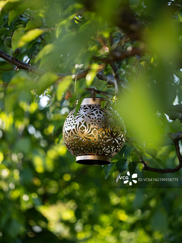 美丽的铜色金属花园灯，带有雕刻的花卉图案，悬挂在春季花园的树枝上图片素材