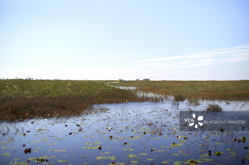 佛罗里达州埃弗格雷德斯的湿地，稀疏植被在晴朗的蓝天下，水面倒映着远处的树木。图片素材