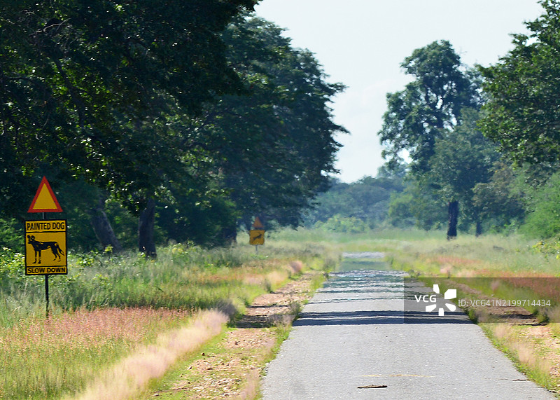 公路旁的非洲野犬标志图片素材