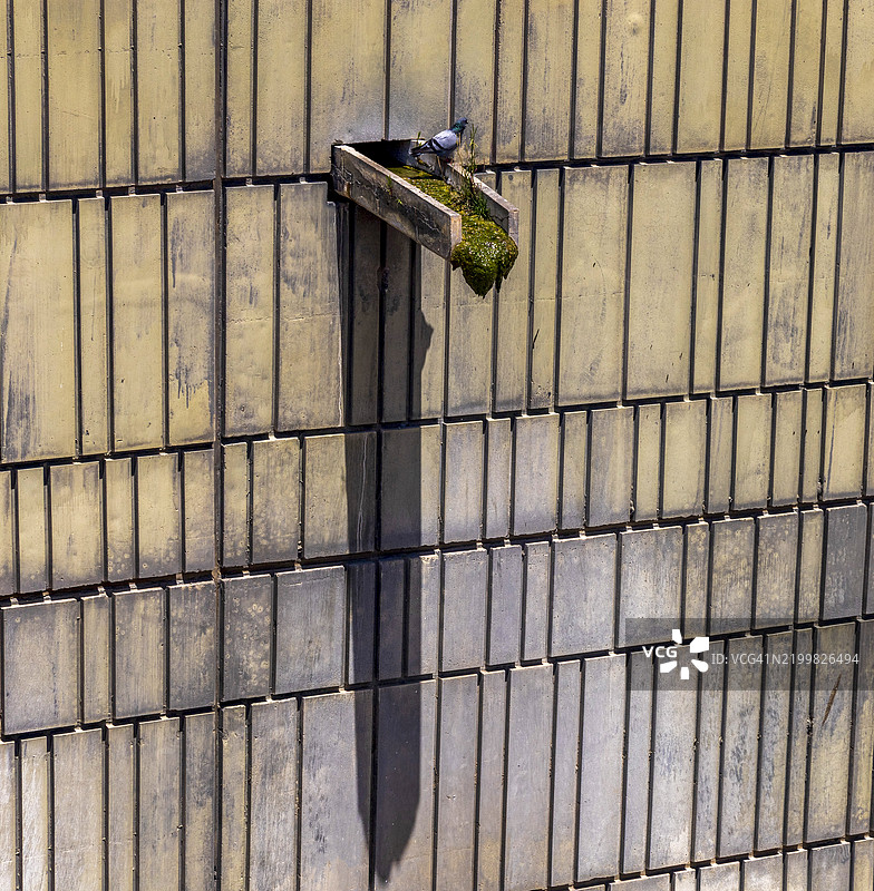 发霉的排水口图片素材