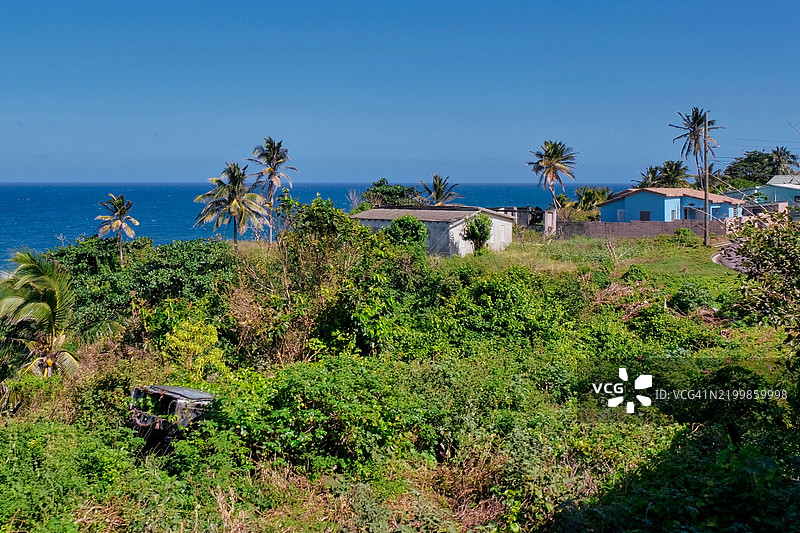 圣基茨岛观光列车上的美景图片素材