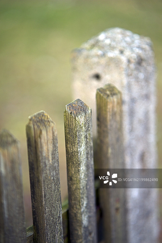 木制花园围栏与混凝土柱图片素材
