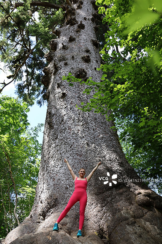 生态旅游 - 美国华盛顿州奥林匹克国家森林图片素材