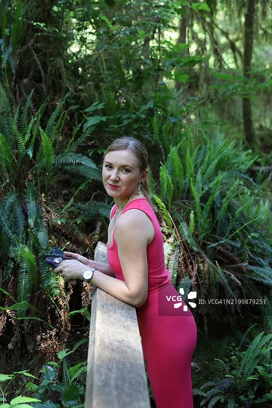 生态旅游 - 美国华盛顿州奥林匹克国家森林图片素材