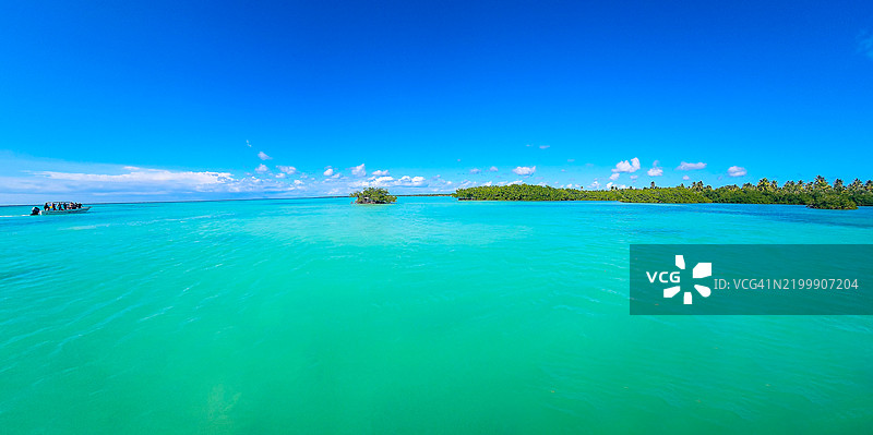 棕榈环绕的天堂：萨沃纳岛宁静的海岸线图片素材