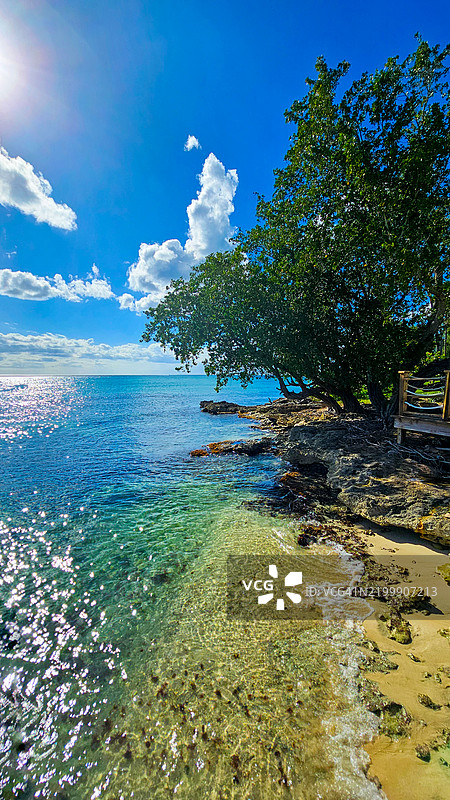 天堂的景色：萨沃纳岛宁静的海岸线图片素材