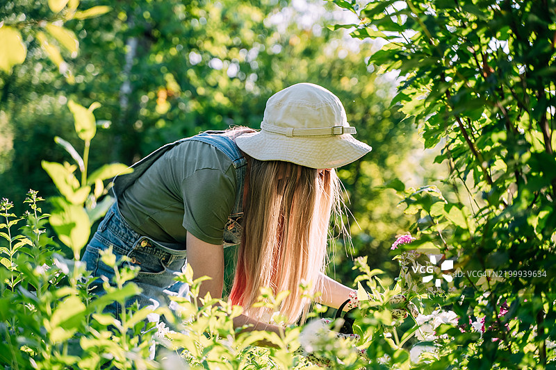 一位女性用剪刀修剪植物。年轻的长发女性戴着帽子，穿着彩色手套，在花园里照顾花朵。图片素材