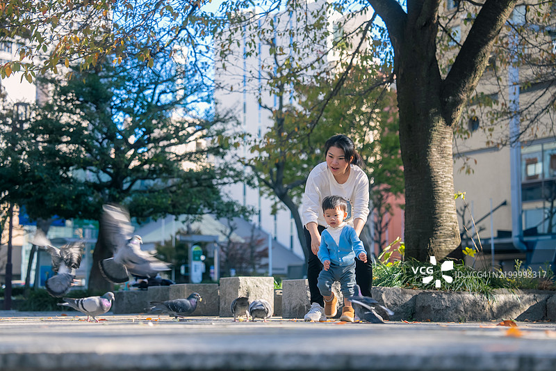 幸福的亚洲家庭，妈妈和幼儿喂养院子前的鸽子，阳光明媚的公共公园里。图片素材