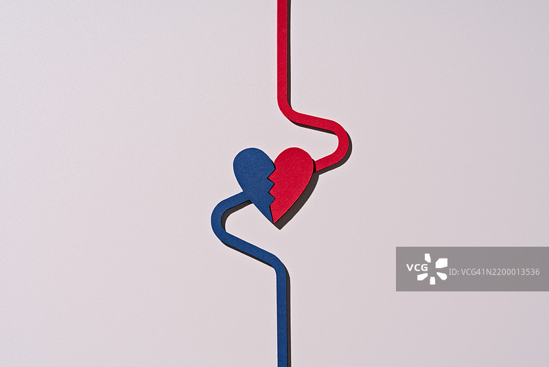 心室与动脉和静脉，纸艺模型图片素材