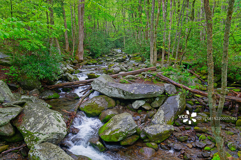 春天的雨水与流水图片素材