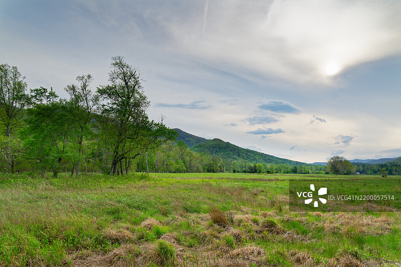 让大烟山国家公园的美景宠爱我图片素材