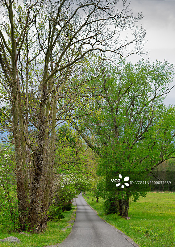 我在大烟山国家公园的度假逃逸图片素材