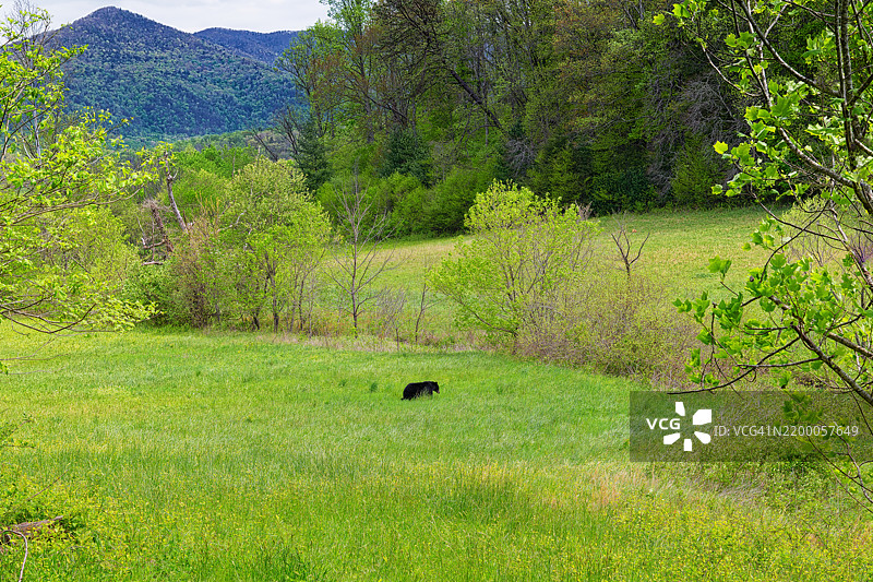 无论你从哪里出发，朝哪个方向旅行到这里图片素材