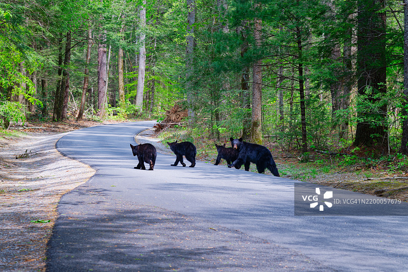 有些人像表现主义画作一样，梦见抽象的思维。图片素材