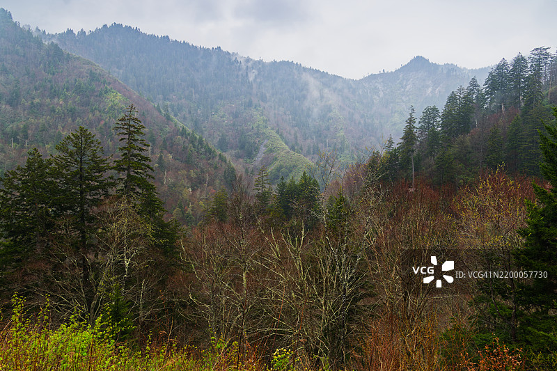 大烟山的崎岖山脊图片素材
