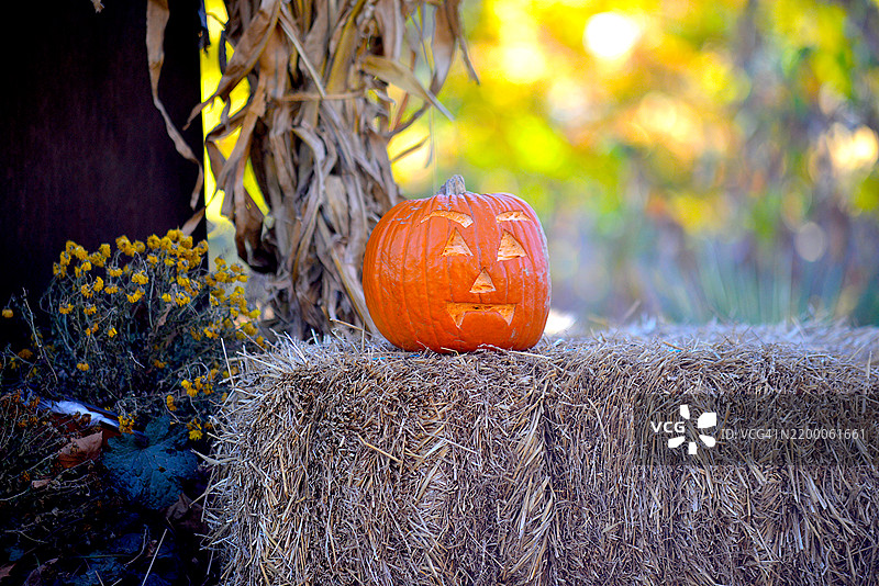 雕刻南瓜图片素材