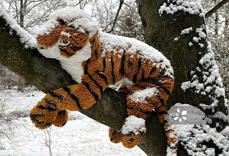 雪中树上的毛绒老虎图片素材