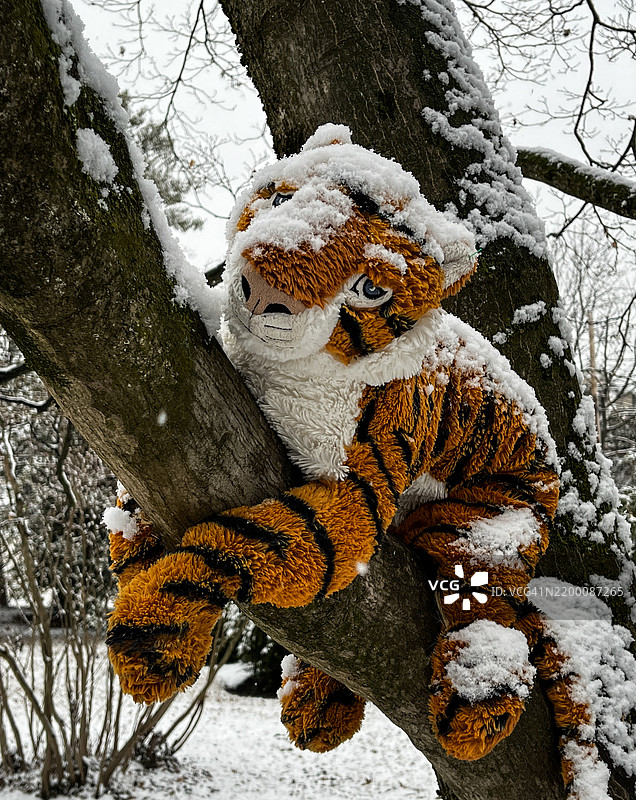 雪中树上的毛绒老虎图片素材