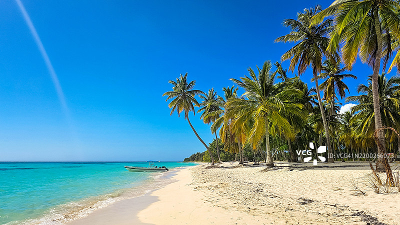 宁静的逃离：萨奥纳岛的棕榈环绕海岸图片素材