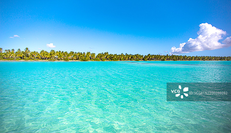 宁静的逃离：萨奥纳岛的棕榈环绕海岸图片素材