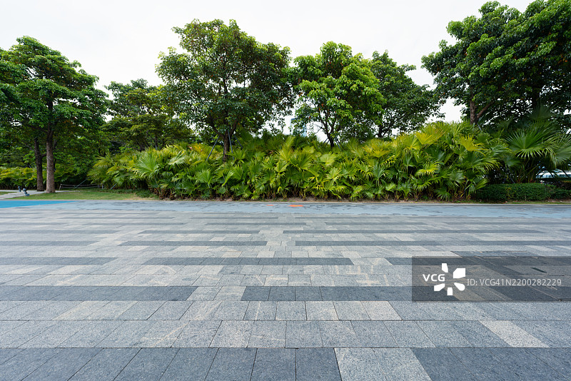 空旷的道路与树木相映图片素材