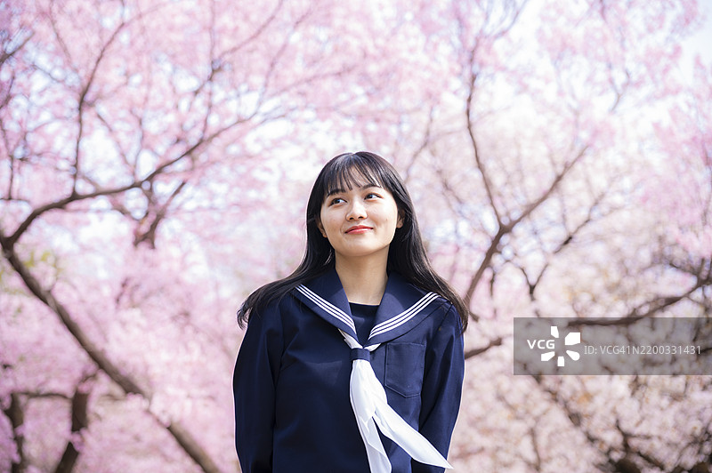 春天樱花下的女学生图片素材