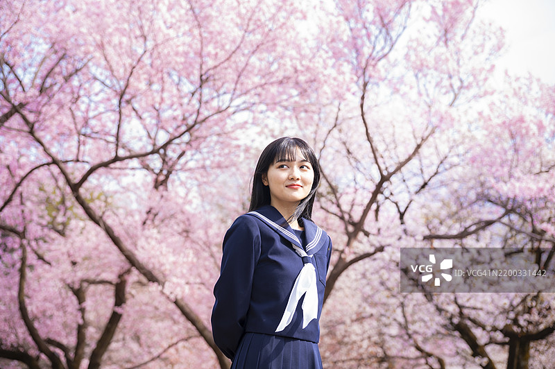 春天樱花下的女学生图片素材