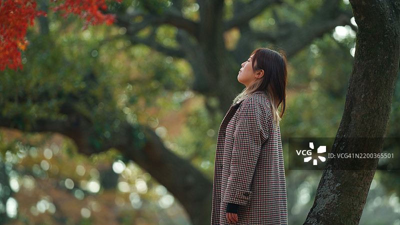 与自然和谐相处的女性图片素材