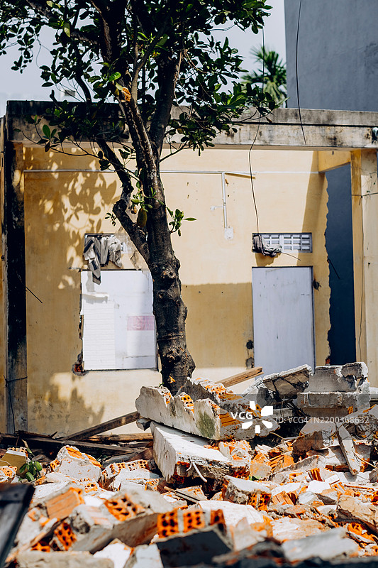 废墟中的黄色建筑旁边矗立着一棵树。破碎的砖块和碎片覆盖在地面上，突显了城市衰败与自然韧性之间的对比。图片素材