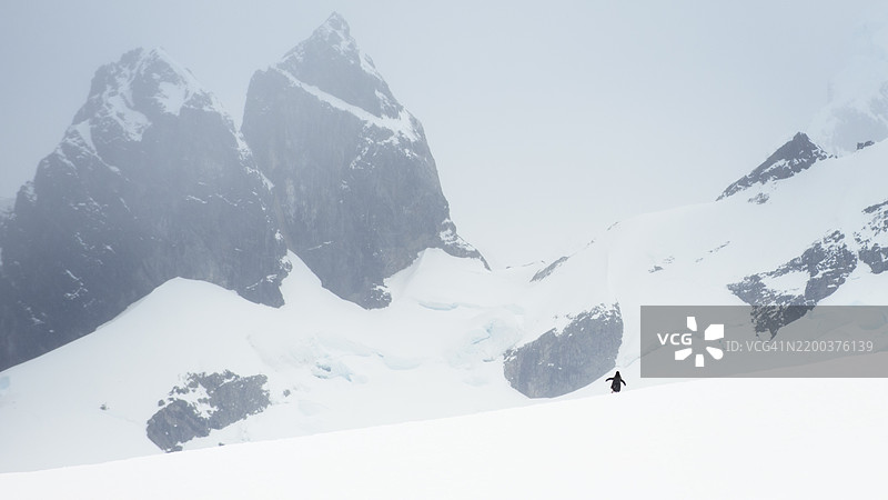 南极洲丹科岛上，带有阿根廷企鹅剪影的戏剧性风景图片素材