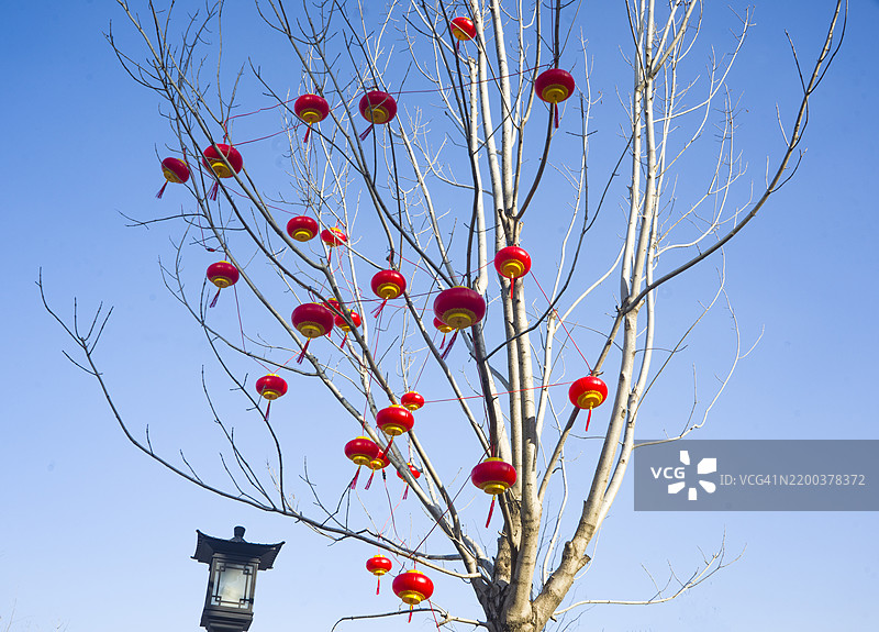 树上挂满了红灯笼+祝中国新年快乐与平安图片素材