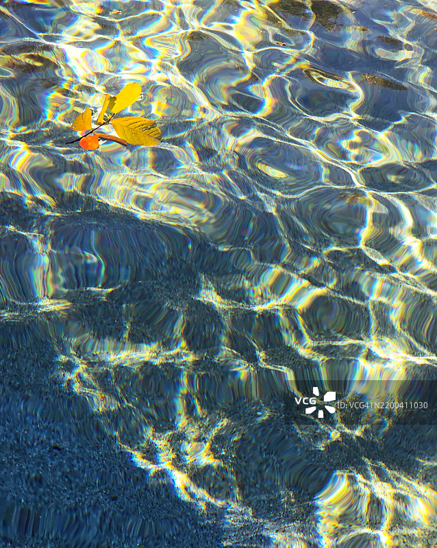 德克萨斯州麦金尼的游泳池全景照片图片素材