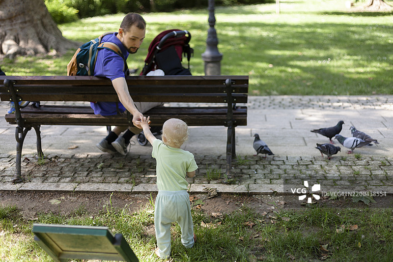 年轻父亲坐在长椅上，把面包递给他的小儿子，让他在公园里喂鸽子。图片素材