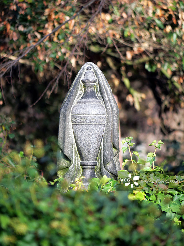 一只覆盖着哀悼面纱的葬礼 urn,雕刻自风化的灰色大理石,周围环绕着灌木丛。英国伦敦。图片素材