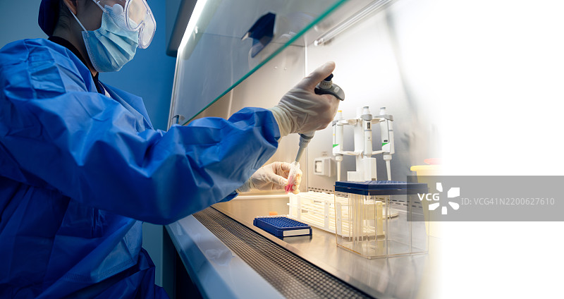 科学家在实验室的生物安全柜中进行科学实验。图片素材