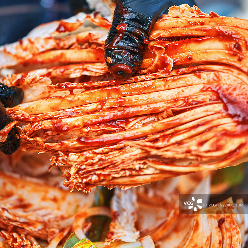 发酵食品 - 用红辣椒酱制作泡菜图片素材