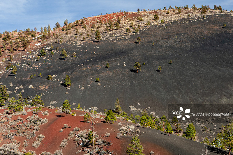 日落火山国家纪念碑的山丘，树木和各种颜色的土壤图片素材