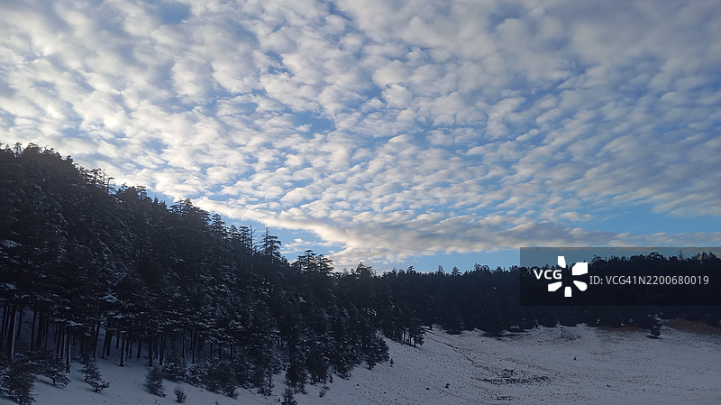 摩洛哥伊夫兰省雪覆盖土地上的树木与天空图片素材