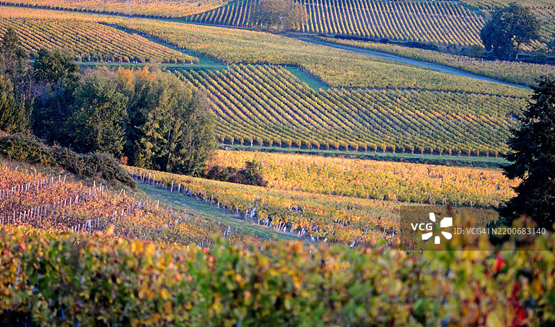 秋季田野的美丽景色图片素材