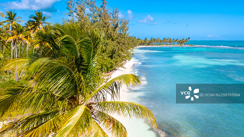 无尽的乐园：萨沃纳岛原始海岸线的全景视图图片素材