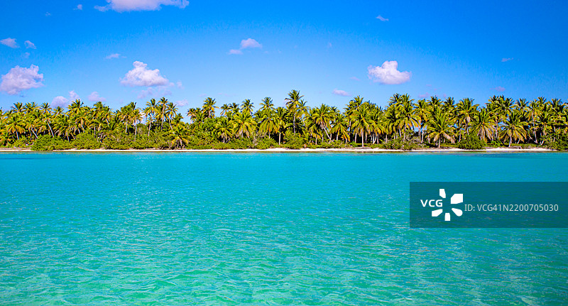 无尽的乐园：萨沃纳岛原始海岸线的全景视图图片素材