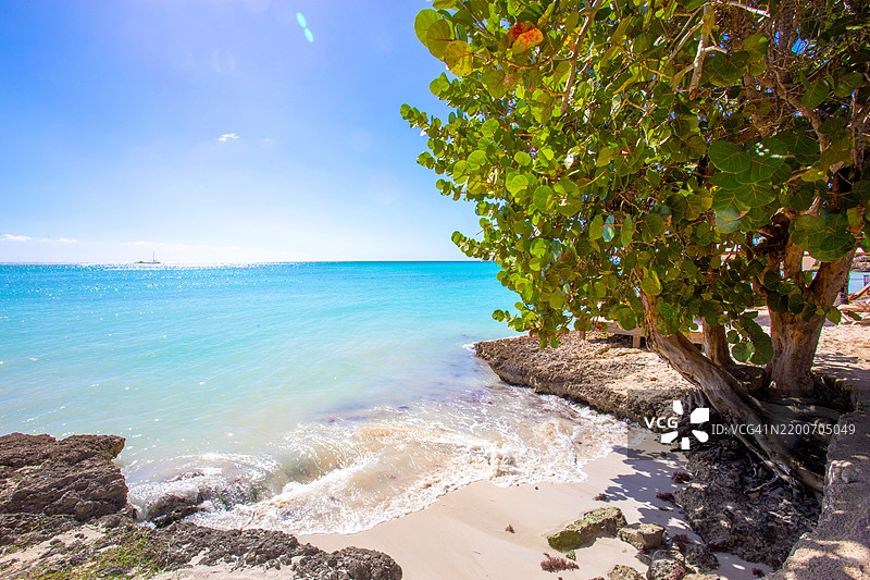 宁静的逃离：萨奥纳岛的棕榈环绕海岸图片素材