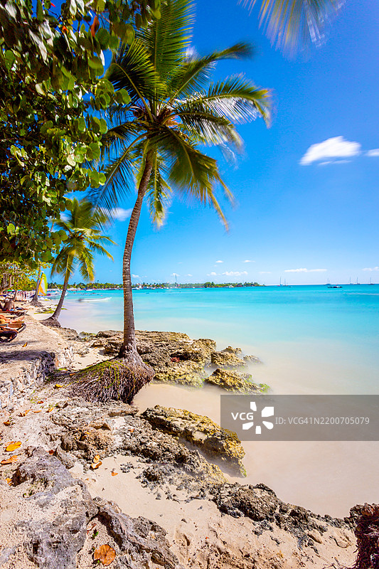无尽的乐园：萨沃纳岛原始海岸线的全景视图图片素材