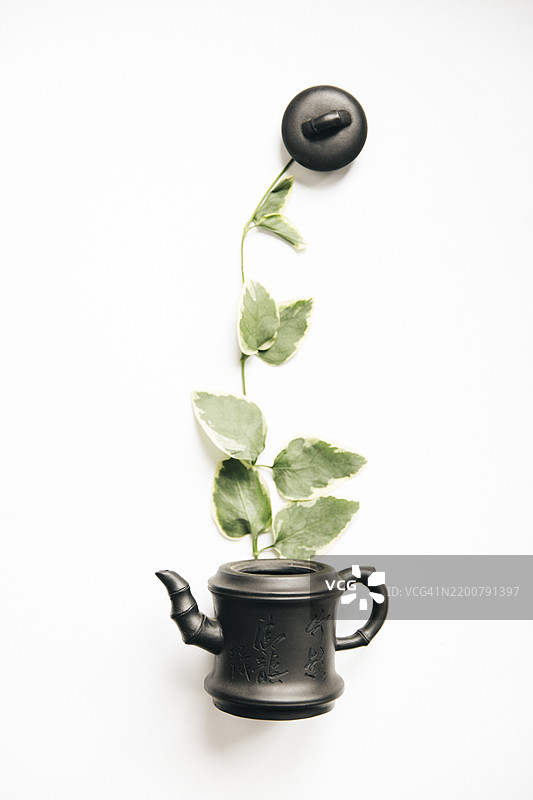 简约的黑色茶壶上点缀着绿色藤叶，背景为白色，艺术概念静物构图，优雅而富有创意的茶主题摄影，旨在传达健康与放松。图片素材