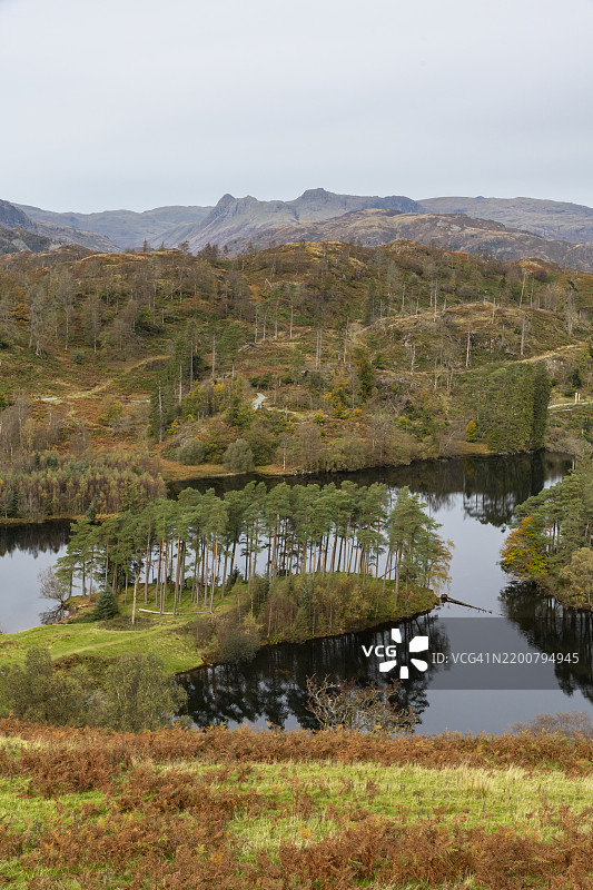 塔恩霍斯，湖区，英格兰图片素材
